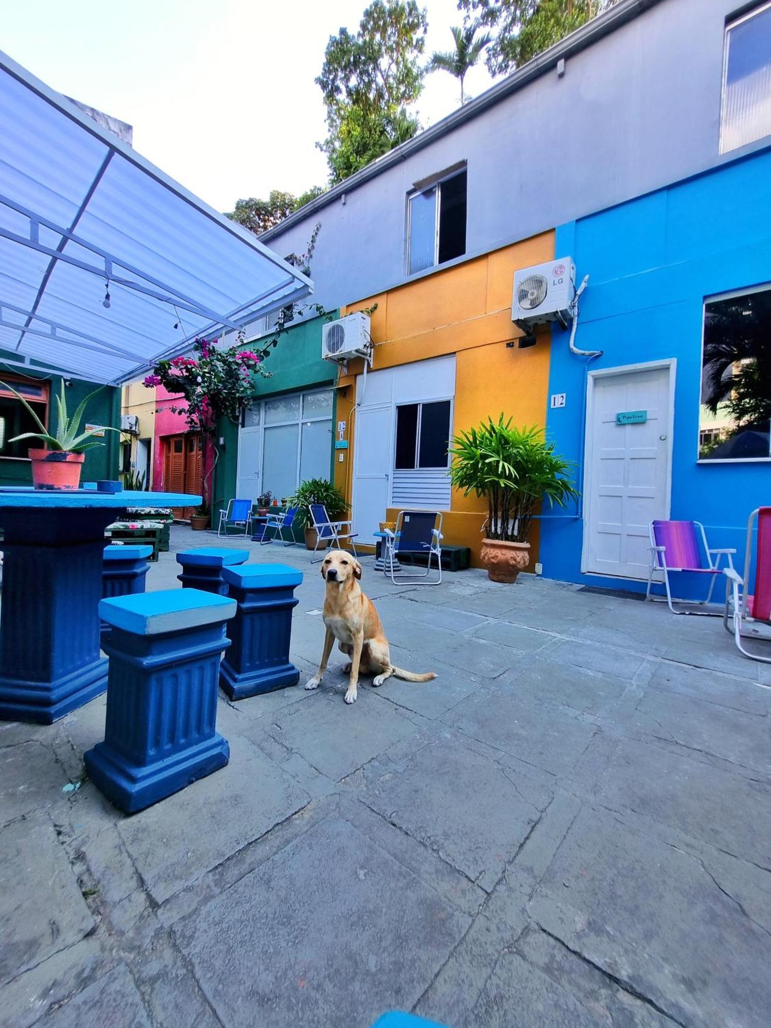 Nomads Hostel Multicultural & Coworking ซัลวาดอร์ ภายนอก รูปภาพ